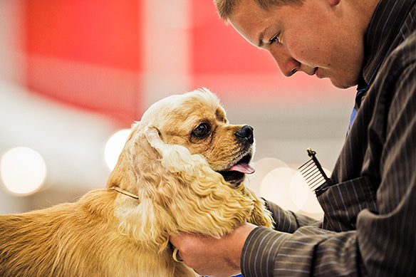 [Photographer]